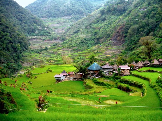 Bangaan rice terraces